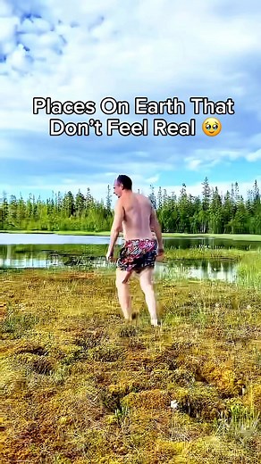 2.8M views · 10K reactions | Places on Earth that don’t feel real凉Would you like to visit any of these beautiful Places on your next vacation? ✨ #travel #adventure #nature #explore | Travel Tacos | Facebook