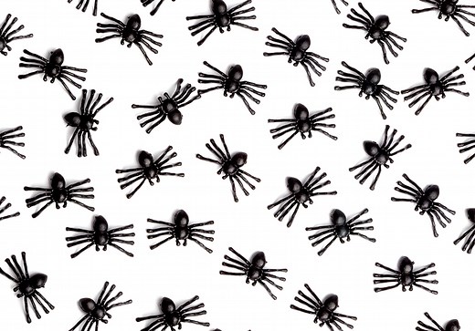 Rêver d'araignée : signification de l'araignée dans un rêve - Elle