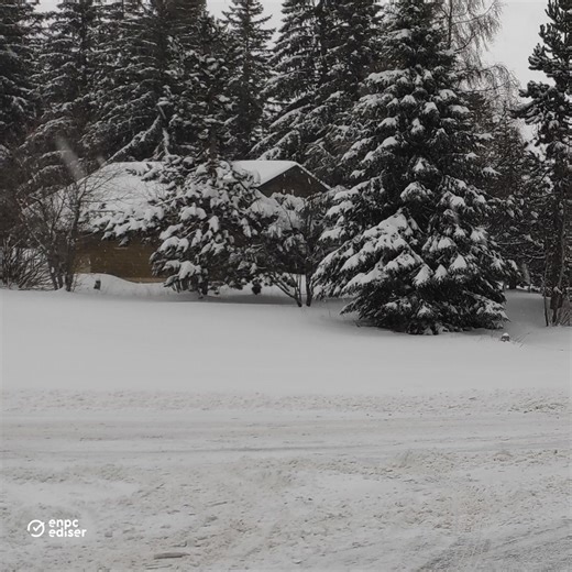 Savez-vous rouler sous la neige ? ❄️ Rouler en hiver, ça ne s’improvise pas ! Pour aider vos élèves (et les plus expérimentés) à rester en sécurité, nous avons passé au crible quelques idées reçues. 🚗☃️ Saurez-vous répondre correctement à toutes ces questions ? 📢 À partager sans modération pour sensibiliser vos futurs conducteurs ! Source : https://www.ecologie.gouv.fr/actualites/vrai-du-faux-circulation-cas-neige-verglas #enpcediser #securiteroutiere #autoecole #preventionroutiere #ConduiteRe