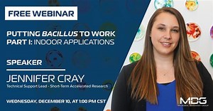 IIC Webinar: Putting Bacillus to Work Part I - Indoor Applications