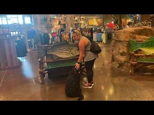 6 Month Old Newfypoo | Best Newfypoo Dog Training | Off Leash K9 | Board and Train | Oklahoma