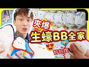 【夾娃娃🔥】捕獲生蠔BB！🦪大中小立體巨型squishy我全部都要😍還會震動？可愛值爆表🩷(中文字幕)