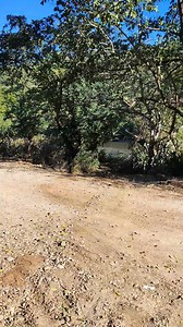 Angie Deras on Reels