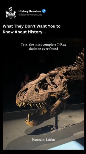 History | Ancient History | Trix, the Tyrannosaurus rex discovered in 2013 in Montana, is one of the most complete and best-preserved specimens of its kind, with about... | Instagram