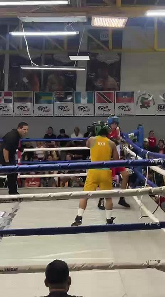 Comedia en el Boxeo: Gráficos y Clips Divertidos