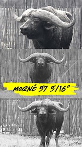 6.2K views · 72 reactions | The 19th of March 2025 will always be...