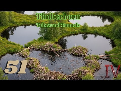 Monumental Plans! | Timberborn 2051