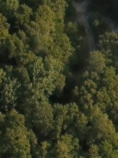 24 reactions | Hospital Records on Reels | Facebook