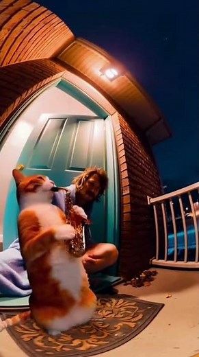 What's your reaction to the trumpet cat? #animals #funny #cat #ai