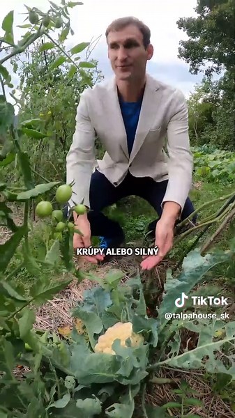 Energeticky efektívny dom budúcnosti: Talpa House