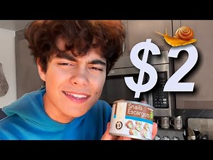 cooking dollar store SNAILS