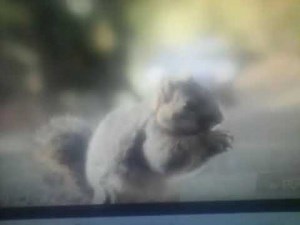 Bridgestone Screams (Zack Islas Sanchez Crossover)