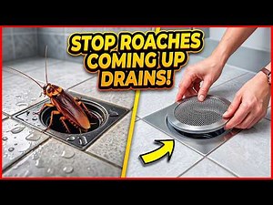 How to Stop Roaches from Coming Up Drains🪳(Proven Methods)