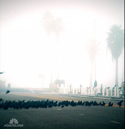 20K views · 171 reactions | Friday on a new Dateline at 10/9c… | Dateline NBC | Facebook