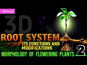 ROOT SYSTEM : ITS FUNCTIONS AND MODIFICATION || 3D ANIMATION || ‪@PW-NEETWallah‬
