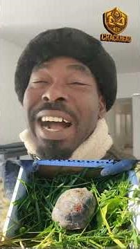 US - ISRAEL IRAN WAR UPDATE (DAY 8)- Turtle 🐢 in Jerusalem collects woto woto