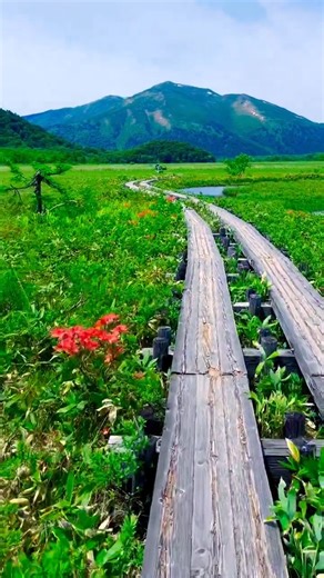 6.5K views · 39 reactions | Explore the natural wonderland of Oze...