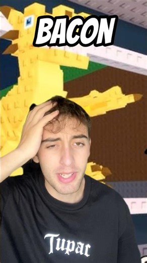 Types Of Bacons In Robe A Brainrot