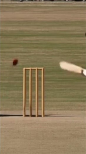 cricket animation#
