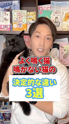 猫の泣き声と理由｜猫の種類や特徴の違いについて解説