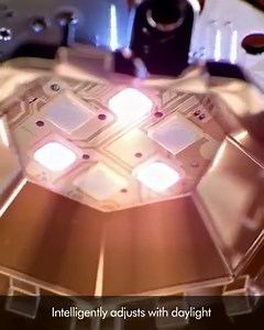 4.2K views · 37 reactions | Introducing the Dyson Lightcycle Morph™...