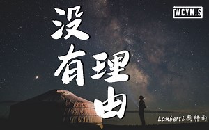 Lambert&杨胖雨 - 没有理由 (Cover: 永彬Ryan.B&周延英) (3分钟环绕版)【動態歌詞/Lyrics Video】