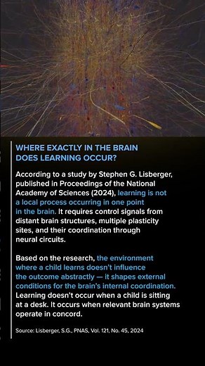 Where Does Learning Actually Happen in the Brain? 🧠 #childdevelopment