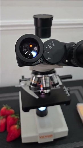 Strawberry 🍓 under Microscope 🔬 #subscibe #Madlabs#experiment