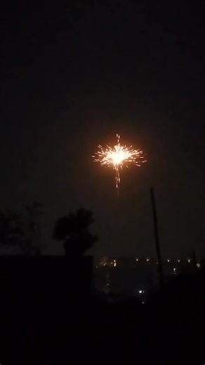 Happy New Year 2026🎇🌼 #reelsvideos #reelsvideo2026 #everyoneシ゚viralシviralシfypシ゚viralシalシ | Memories by Mimu