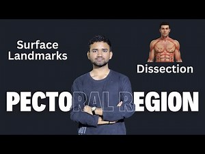Pectoral Region 01 - Surface Landmarks and Dissection