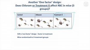 6. Examples of Experimental Designs