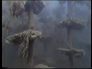 OU S330 (Oceanography) (OPEN UNIVERSITY)