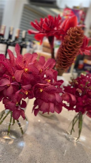 Mega Orchids on TikTok