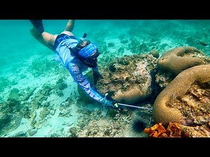 FISH. FRY. FRIDAY. | Living like locals in GRENADA