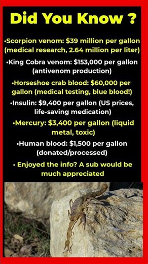 Liquids More Expensive Than Gold 💧💎