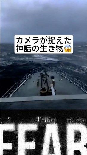 カメラが捉えた神話の生き物🪽#雑学 #神話 #生物 #豆知識