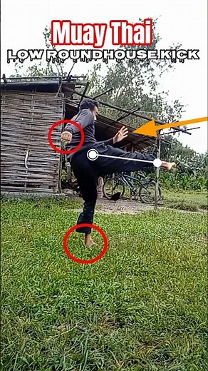 Low Roundhouse Kick KO 💥 | Brutal Muay Thai Leg Kick #lowkick #muaythai #martialarts #shorts