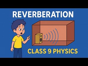 Reverberation 🔊 | What is Reverberation? | Class 9 Physics CBSE | Sound Chapter