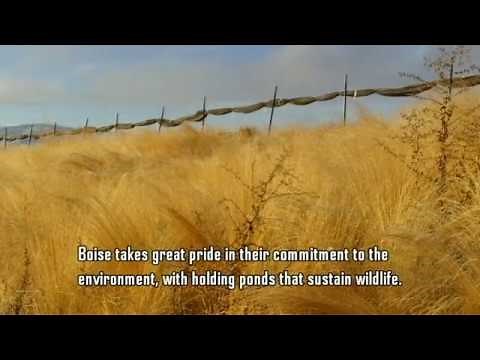 Boise Cascade Mill Process
