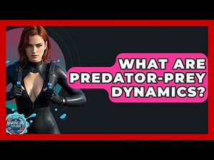 What Are Predator-prey Dynamics? - The Marine Life Explorer