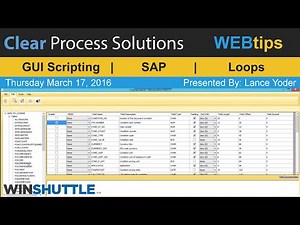 WINSHUTTLE Tutorials & WEBtips: Alternatives to GUI Scripting Training