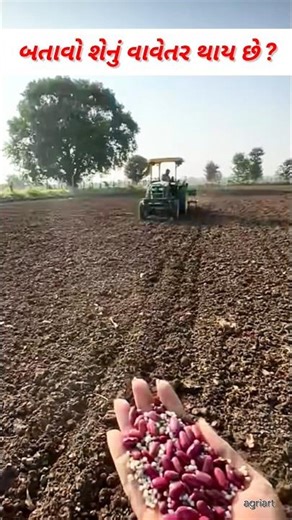 આ શેના બીજ છે કૉમેન્ટ કરો #youtubeshorts #agriculture #farming