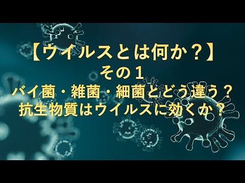 【ウイルスとは何か？】その１：バイ菌・雑菌・細菌とどう違う？抗生物質はウイルスに効くか？
