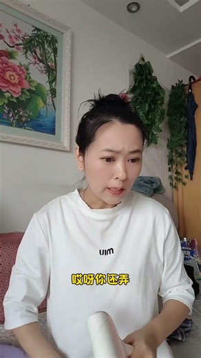 Cute Cat Chicken Showdown