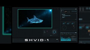 Virus Shark (2021)