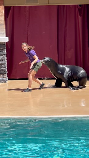 The VIP part #lol #funnyclyde #mimicry | Travisandcousins