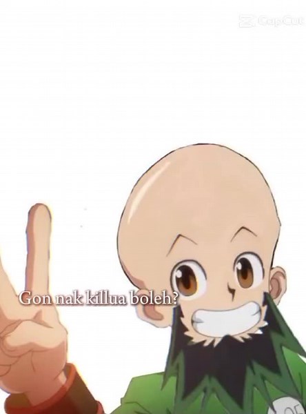 hunter | Killua,Gon #killuazoldyck #gongxifacai #animhunter #hunterxhunter #anime #hxh #fypシ