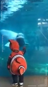 36K views · 144 reactions | Warning: This video may cause snorting, giggling, and happy tears! 藍 #DailyLaughs #funnyanimals #TooFunny #animalmadness | Amazing Videos | Facebook