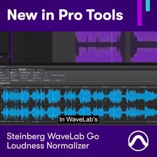 4.2K views · 24 reactions | NEW IN PRO TOOLS: Steinberg WaveLab Go ARA plugin — Loudness normalizer FULL VIDEO ▶️ youtu.be/Tgvi19AvbgQ SAVE 33% ▶️ https://ow.ly/WBSU50TVsyC #protools #steinberg #wavelab #midi #dolbyatmos #musicproduction #avidprotools #daw #avid | Avid | Facebook