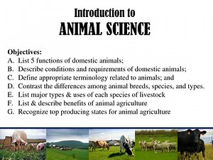 Introduction to ANIMAL SCIENCE - SlideServe